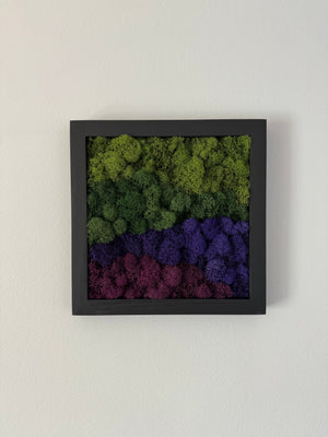 Purple Mountains, Square