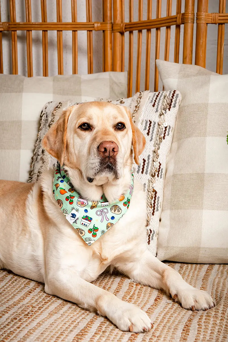Farmers Market Dog Bandana Dog Bandana Co.