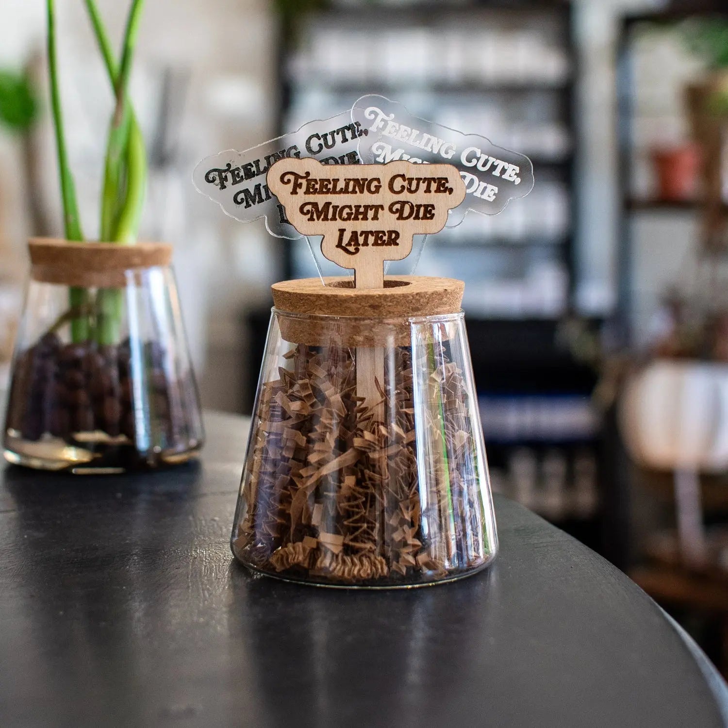 Wooden plant stake with "Feeling Cute, Might Die Later" quote in a jar