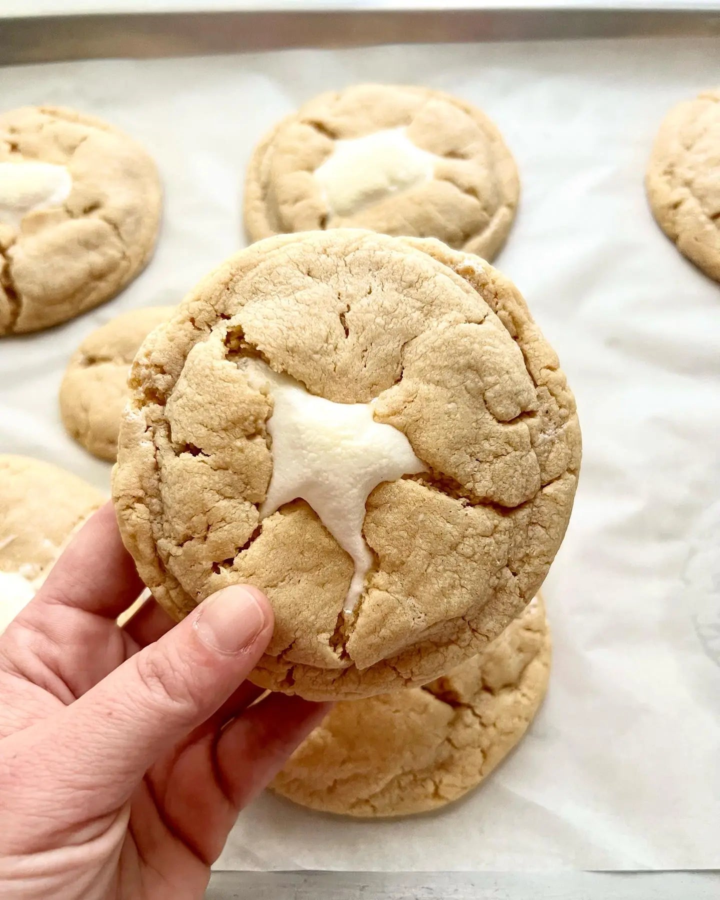 FlufferNutter Let's Get Baked Artisan Desserts
