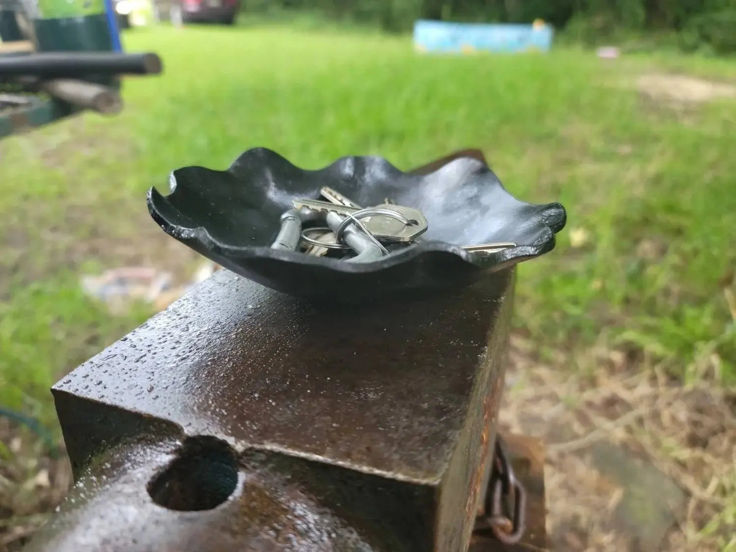 Forged Wavy Dish Redbeard's Forge LLC