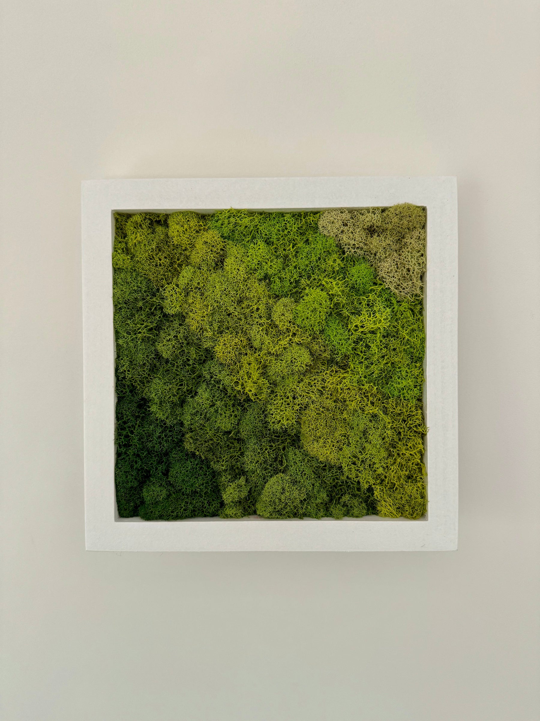 Diagonal Gradient, Square