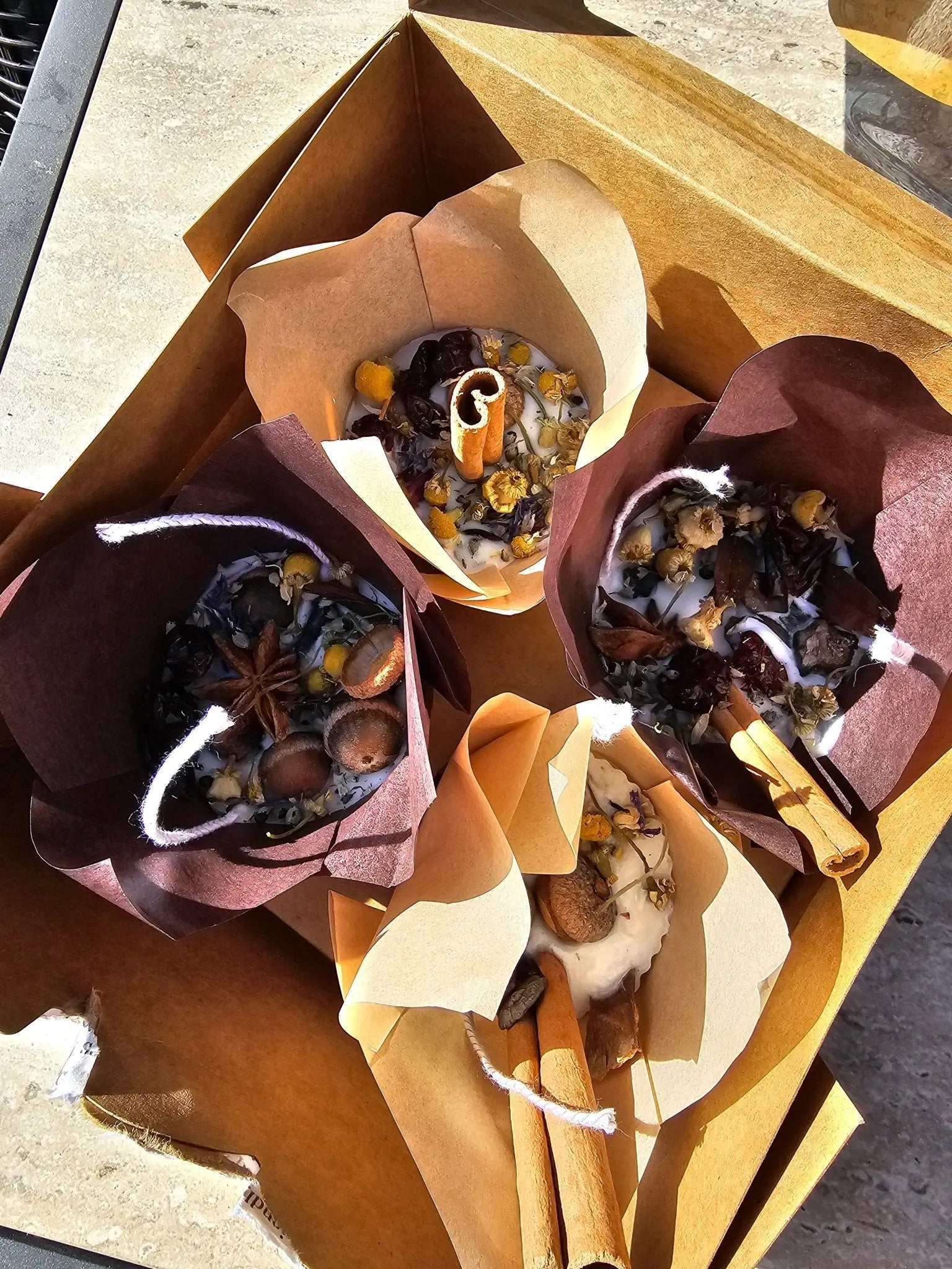 Handmade Soy Wax Fire Starters: Eco-Friendly, Botanical Accents. Main Street Collective Fire Starters for quick, safe fire lighting