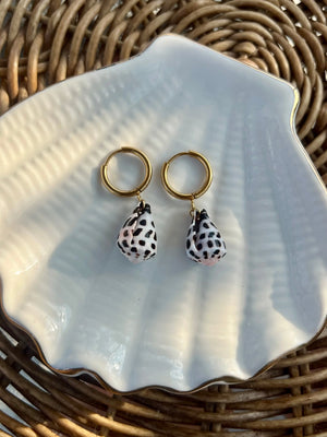 Hebrew Cone Shell Earrings HALT
