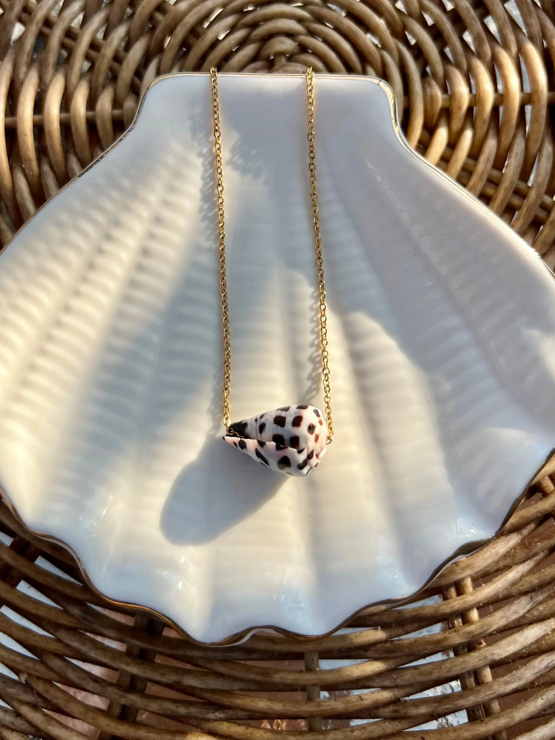 Hebrew Cone Shell Necklace HALT