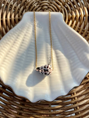 Hebrew Cone Shell Necklace HALT