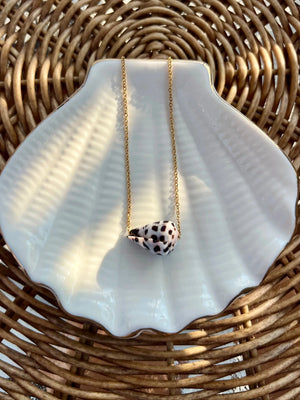 Hebrew Cone Shell Necklace HALT