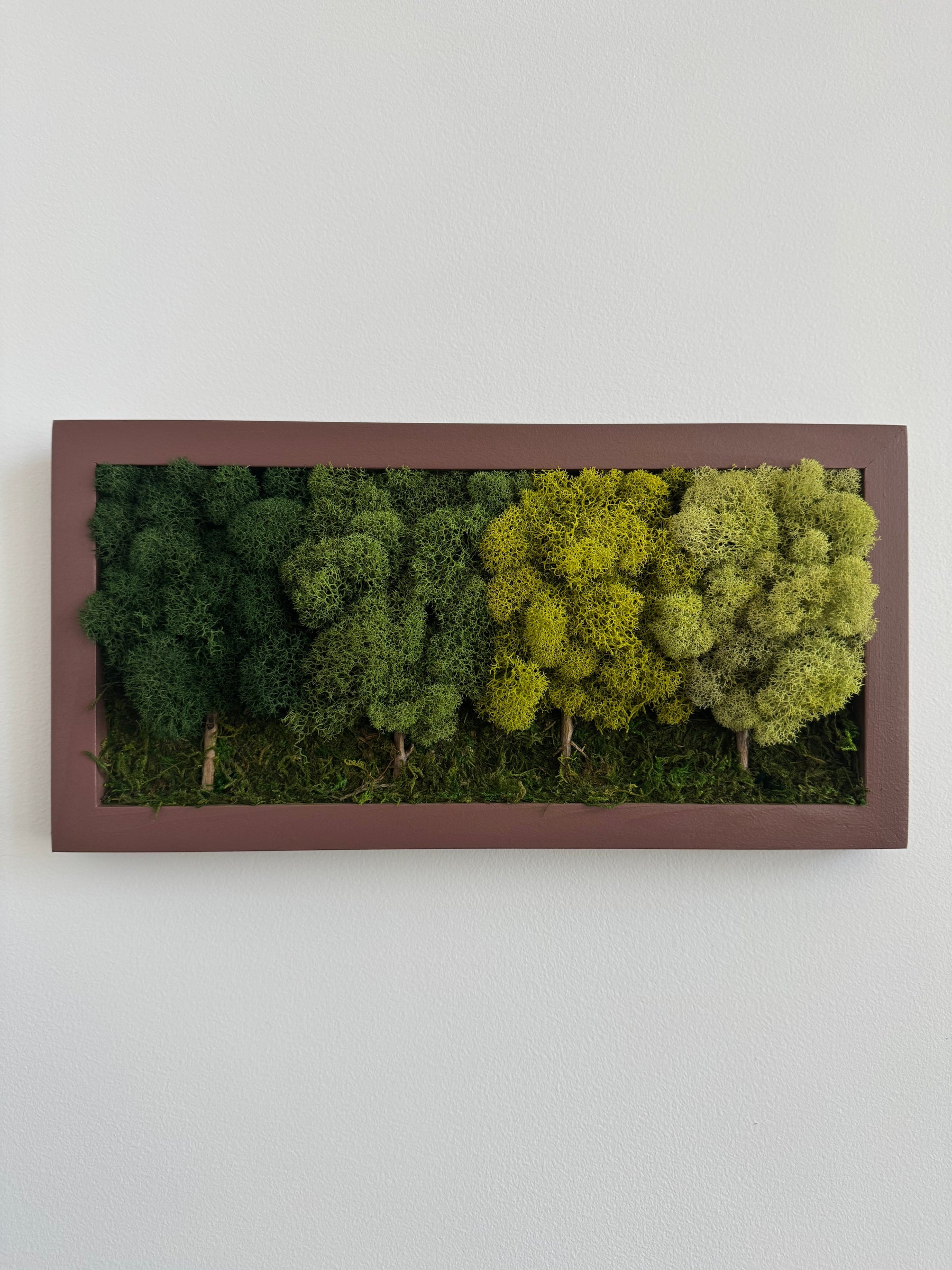 4 Tree Forest, Rectangle