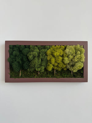 4 Tree Forest, Rectangle