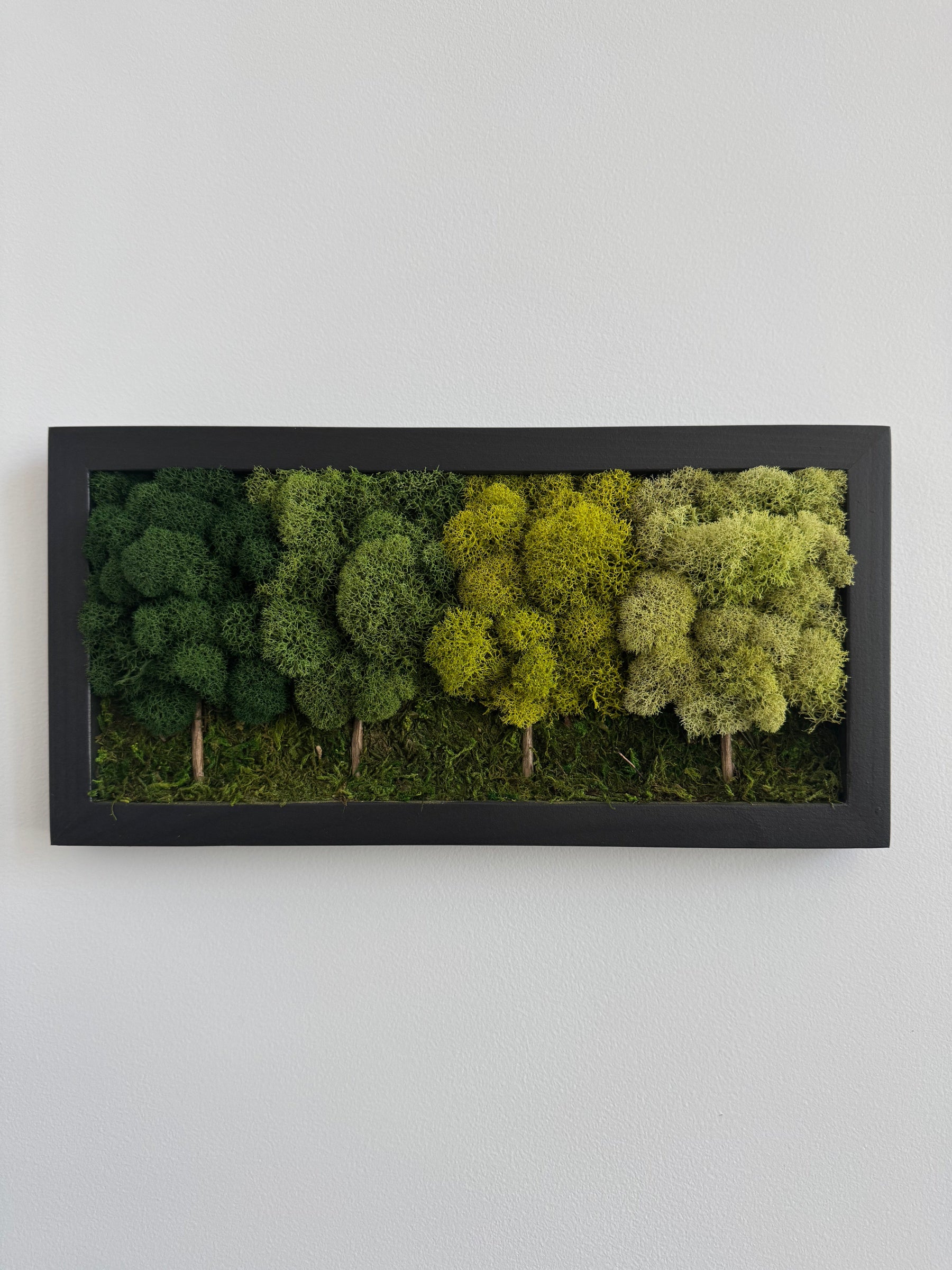 4 Tree Forest, Rectangle