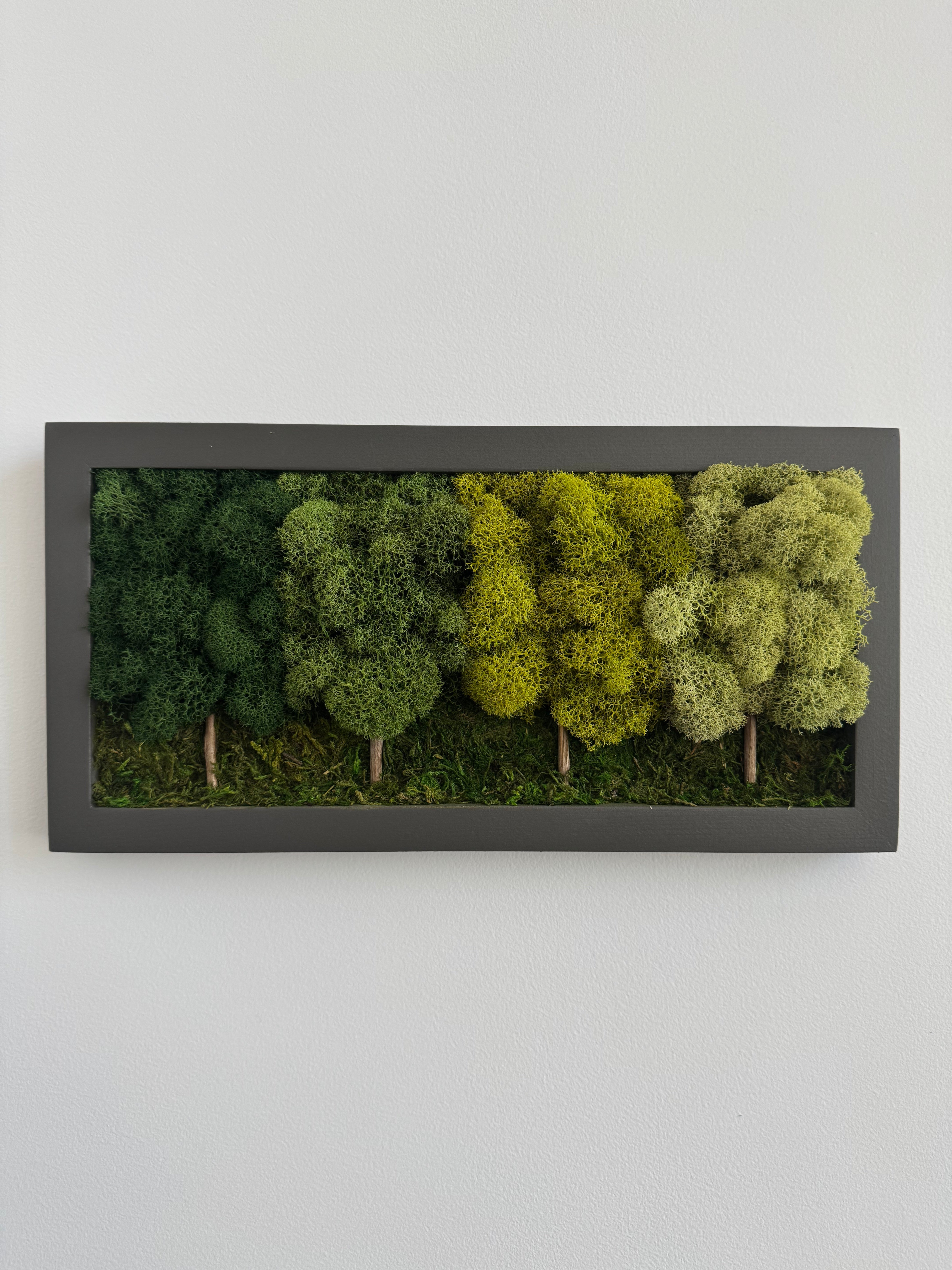 4 Tree Forest, Rectangle