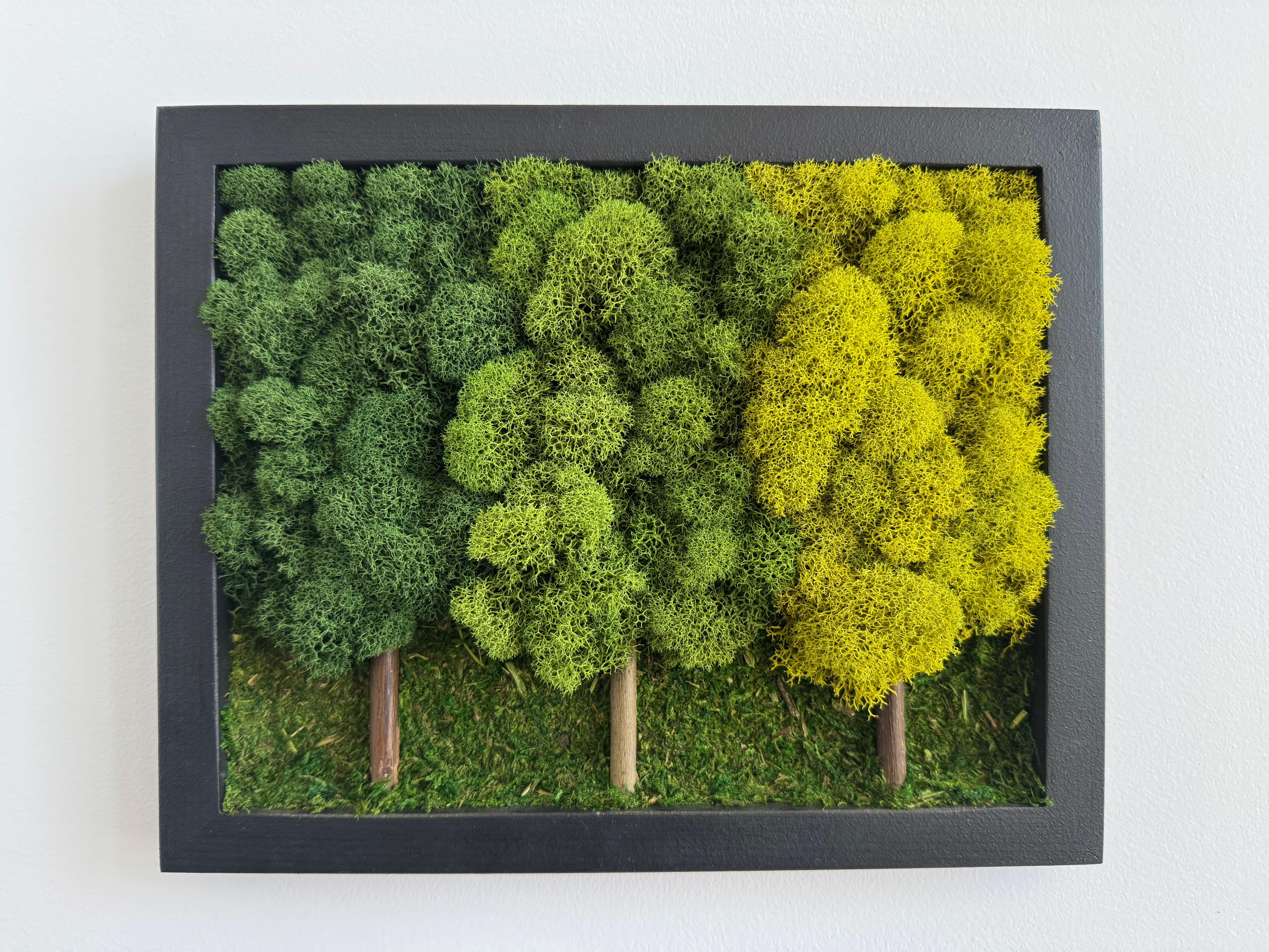 3 Tree Forest, Rectangle