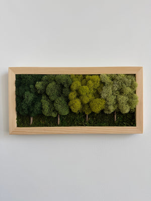 4 Tree Forest, Rectangle