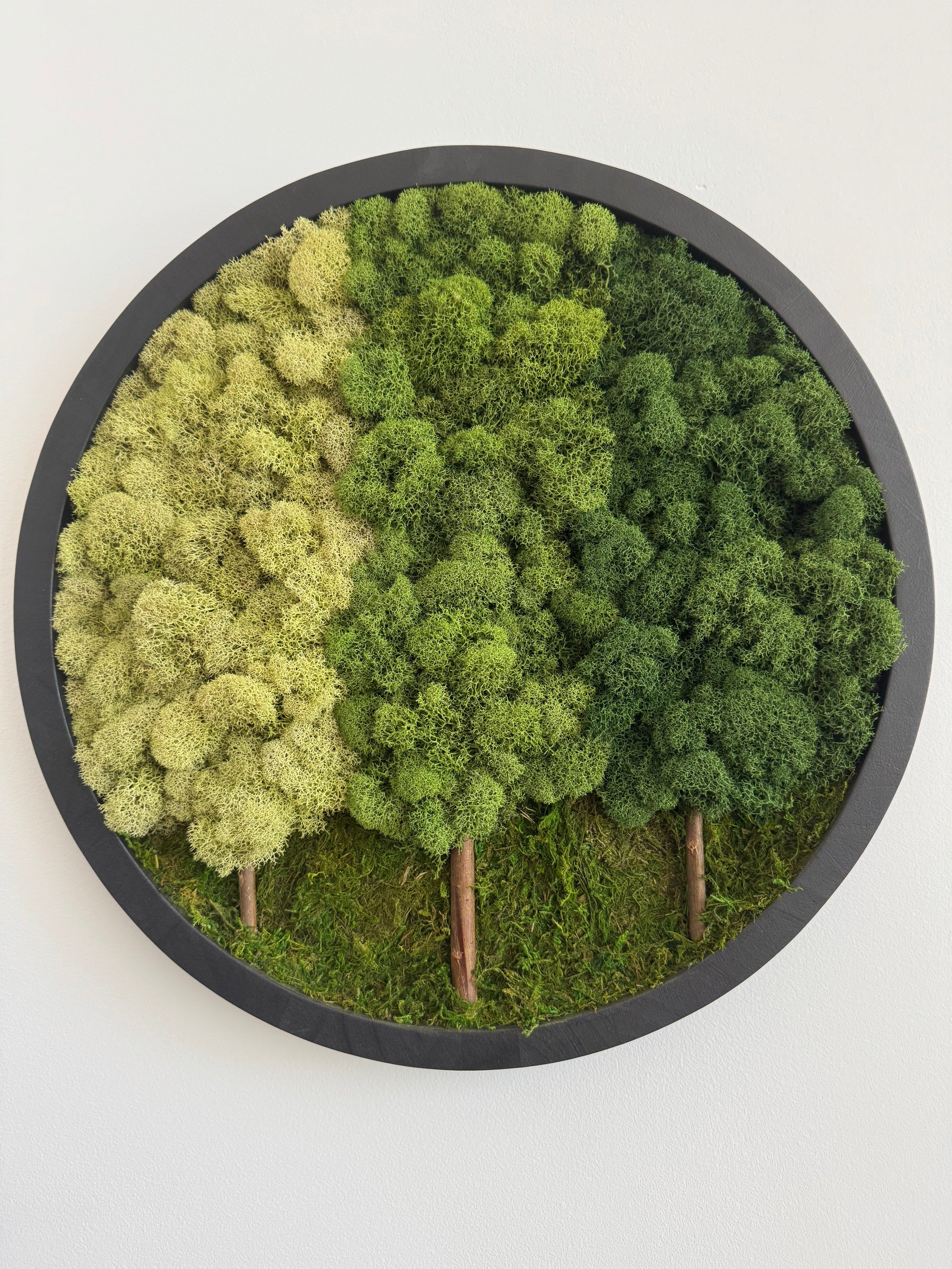 3 Tree Forest, Round