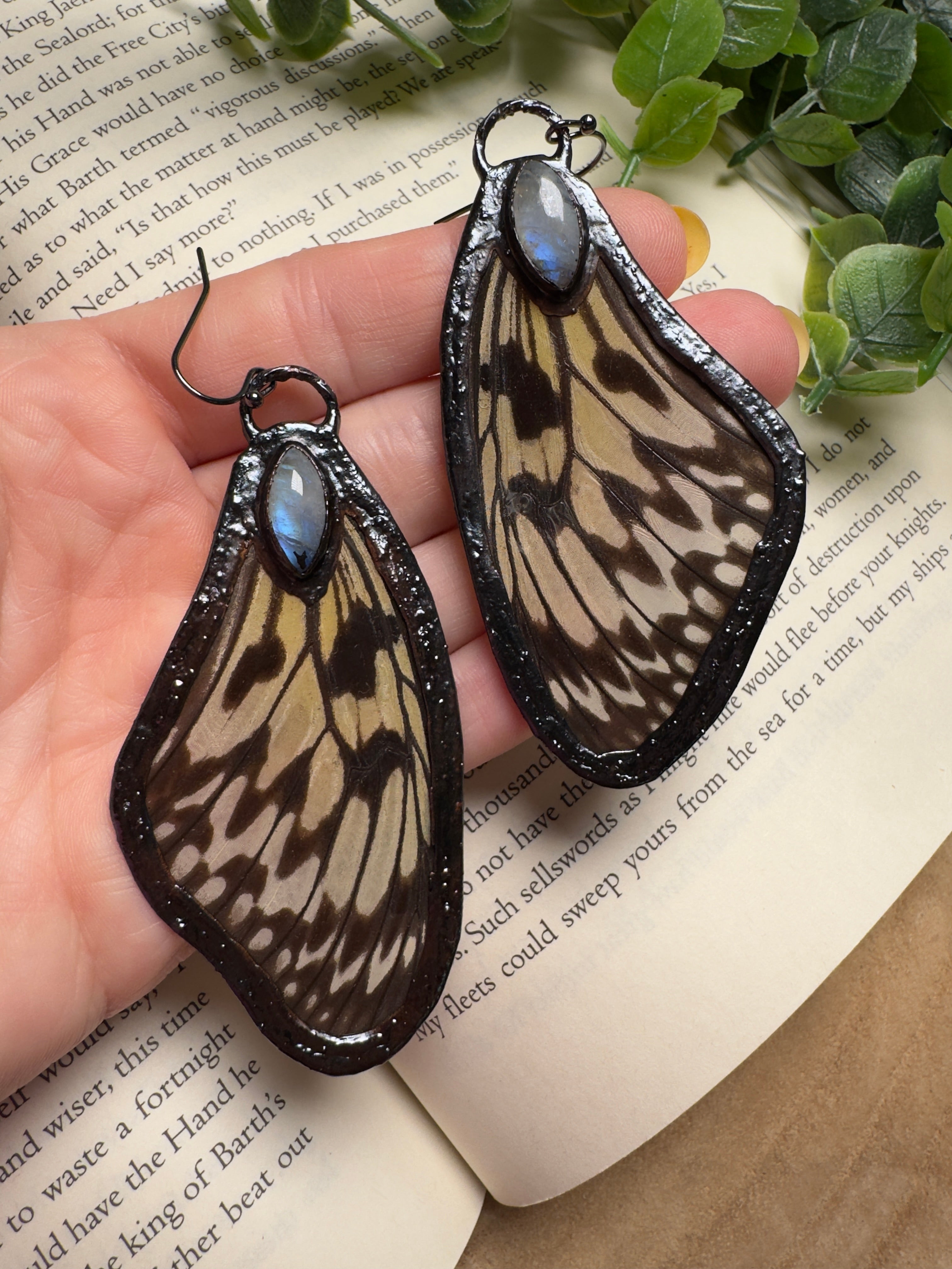 Butterfly Wing and Moonstone Earrings