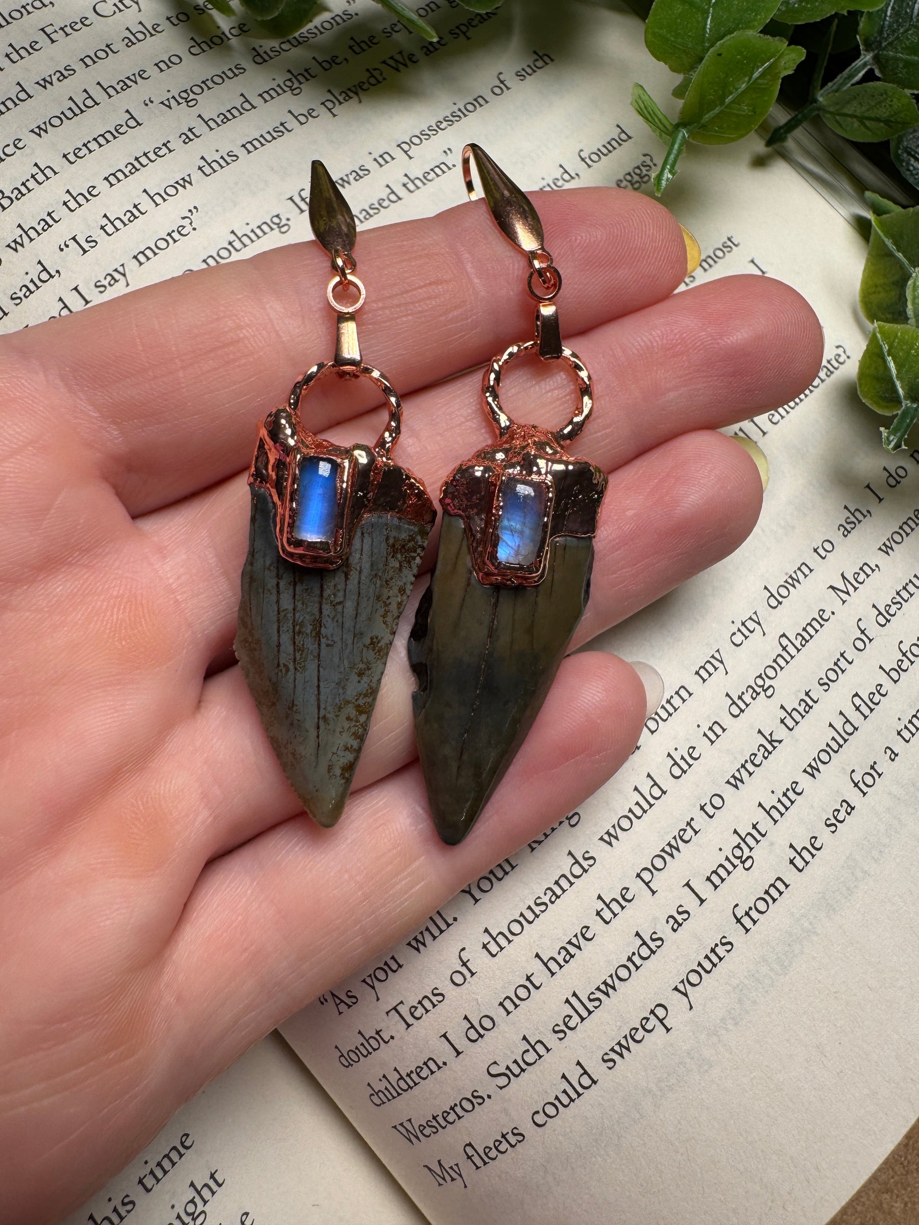 Sharks Teeth and Moonstone Earrings