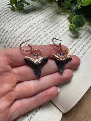 Sharks Teeth and Moonstone Earrings