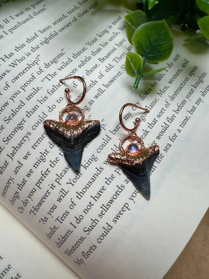 Sharks Teeth and Moonstone Earrings