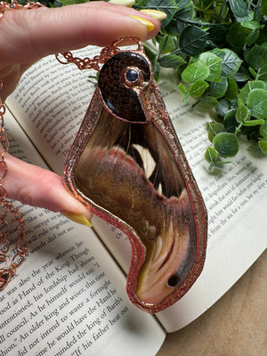 Atlas Moth Wing, Ammonite Fossil, and Labradorite Necklace