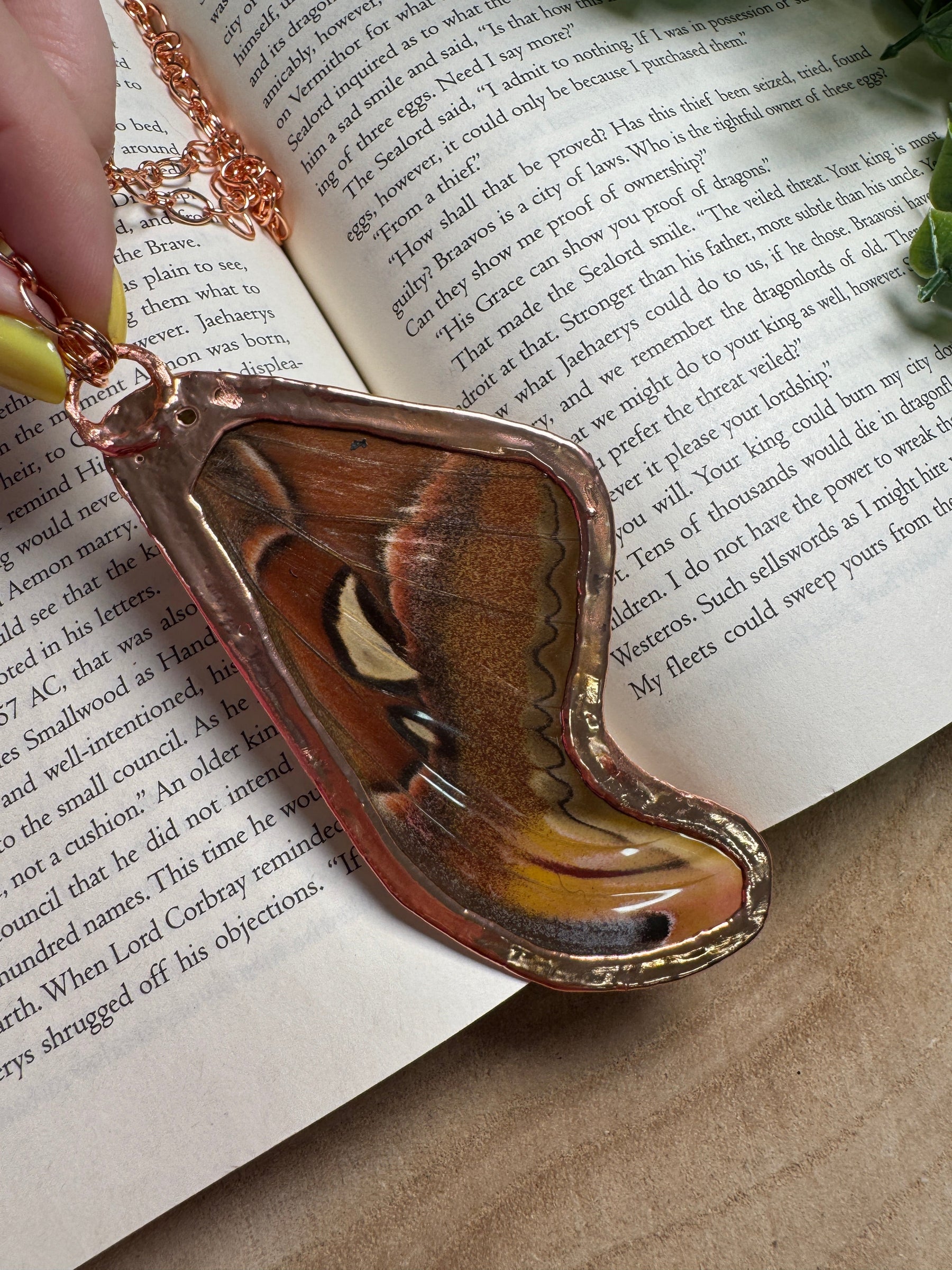 Atlas Moth Wing, Ammonite Fossil, and Labradorite Necklace