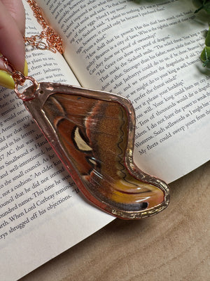 Atlas Moth Wing, Ammonite Fossil, and Labradorite Necklace