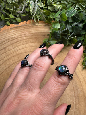 Abalone Shell Ring Adjustable
