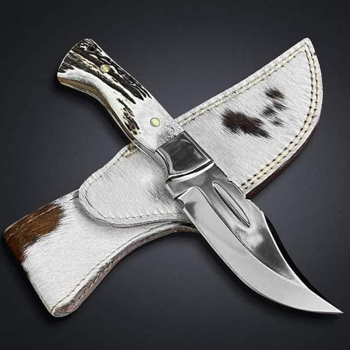 Mirror Polish Gut Hook Skinner Knife with Stag Handle and Brass Pins