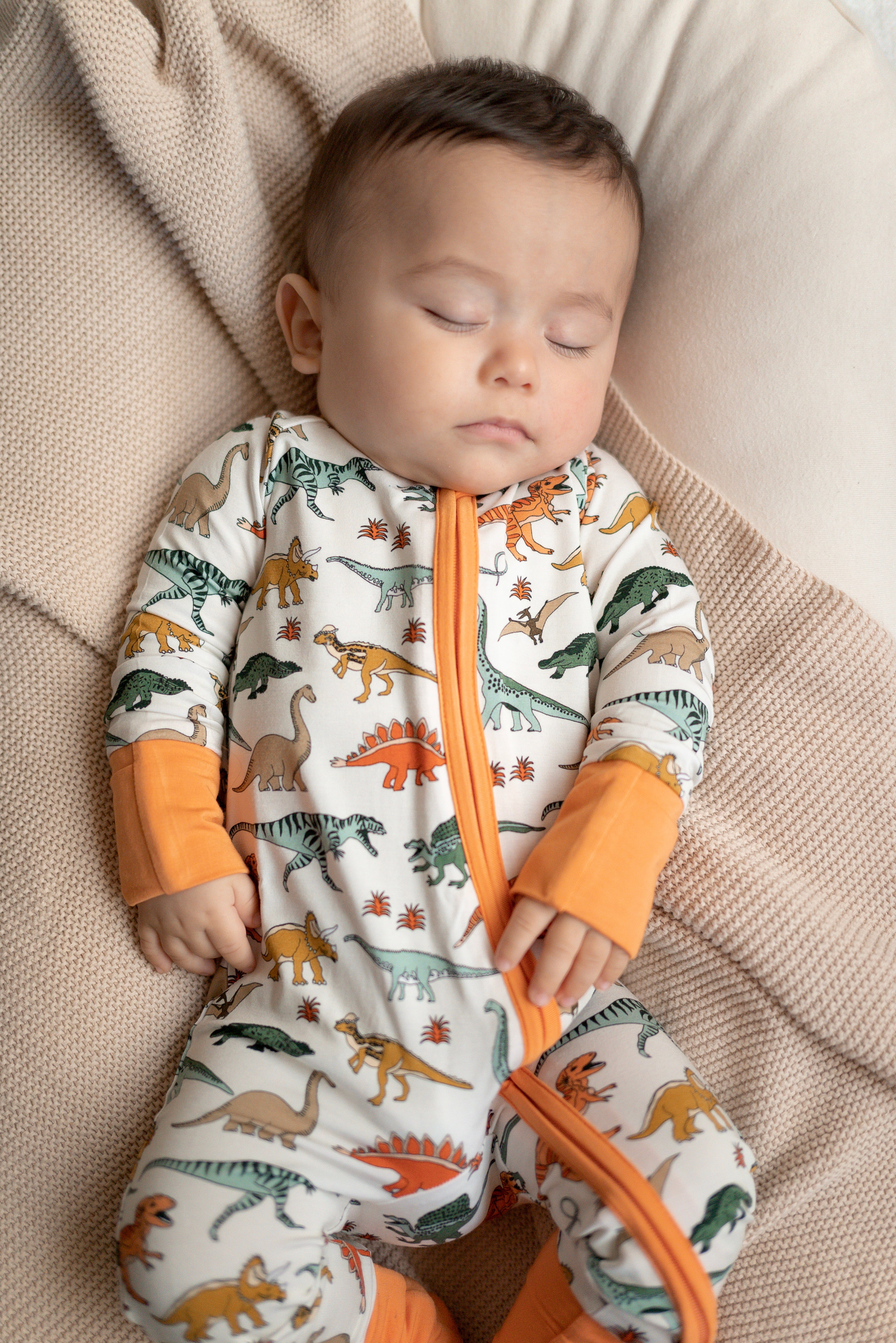 Boho Dinosaur | Zippy by Boosh Baby image 1