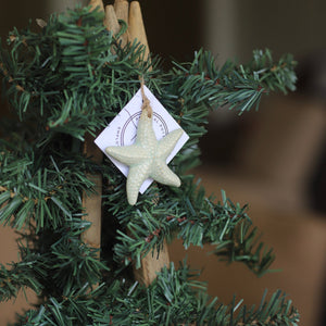Prodigal Pottery Ceramic Starfish Ornament — product view 3