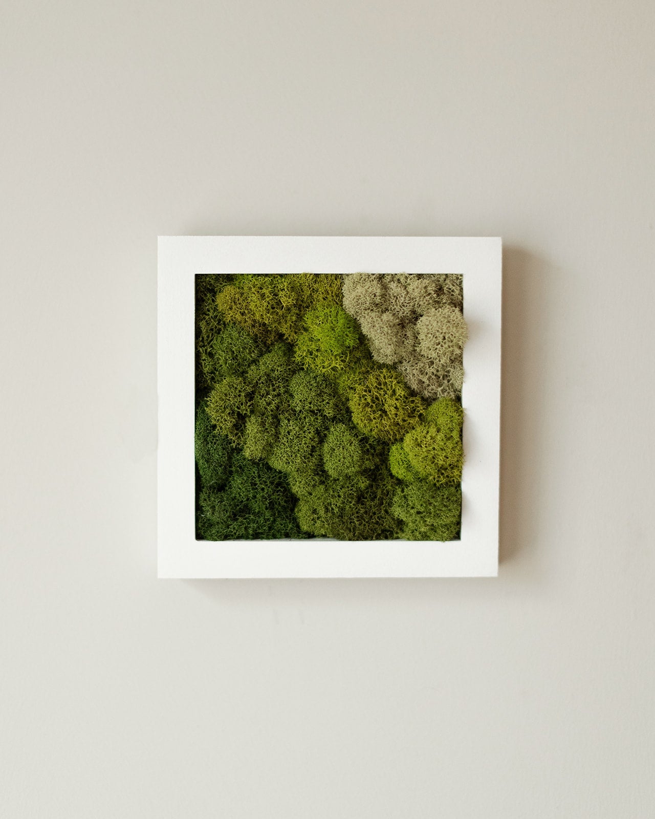 Diagonal Gradient, Square