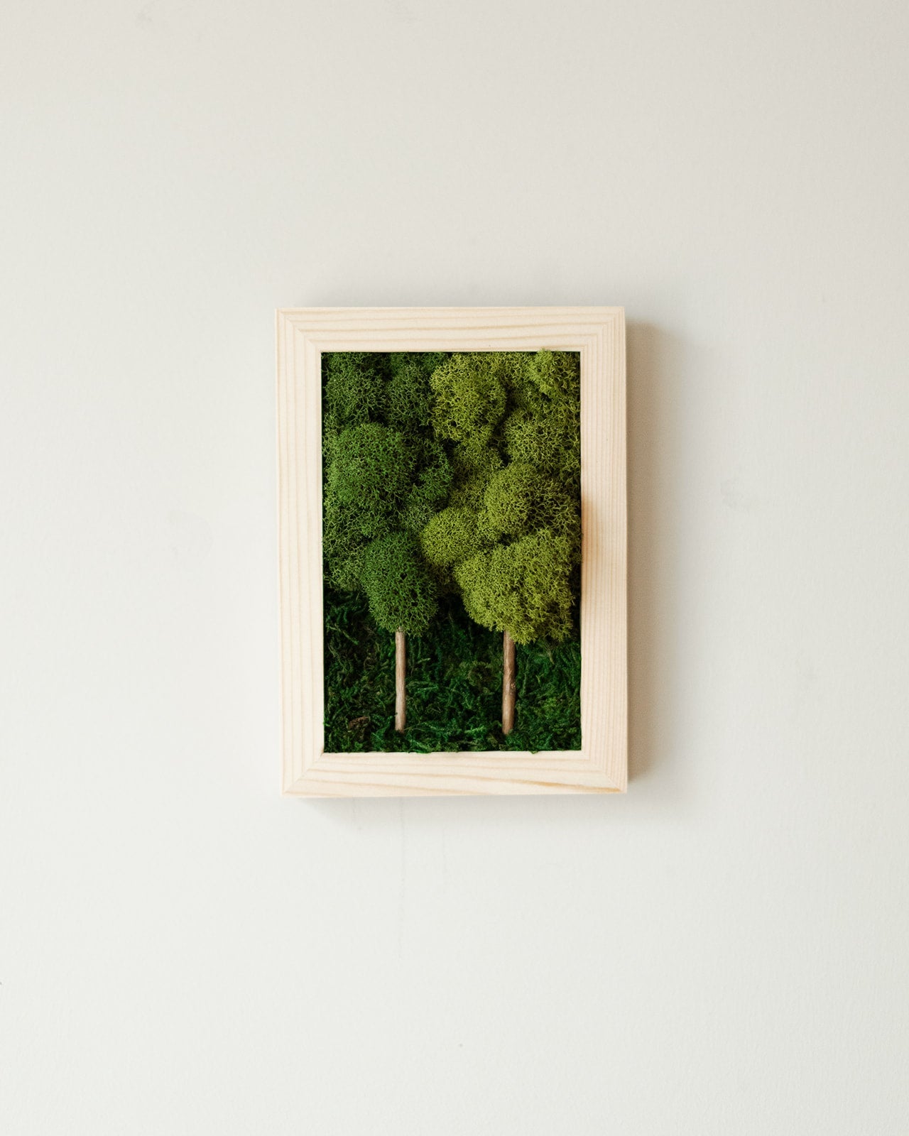 2 Tree Forest, Rectangle