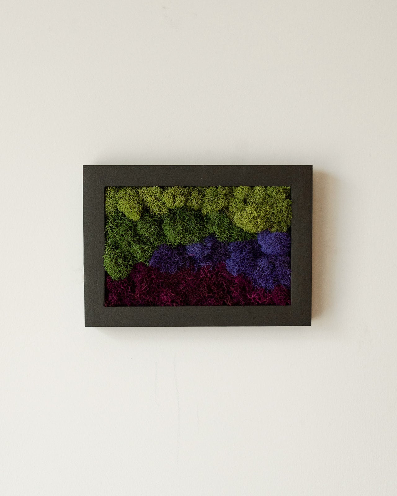 Purple Mountains, Rectangle