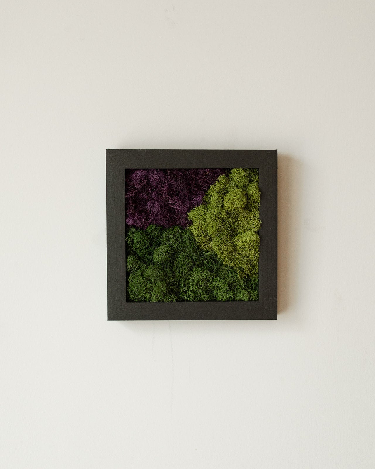 Purple Mountains, Square