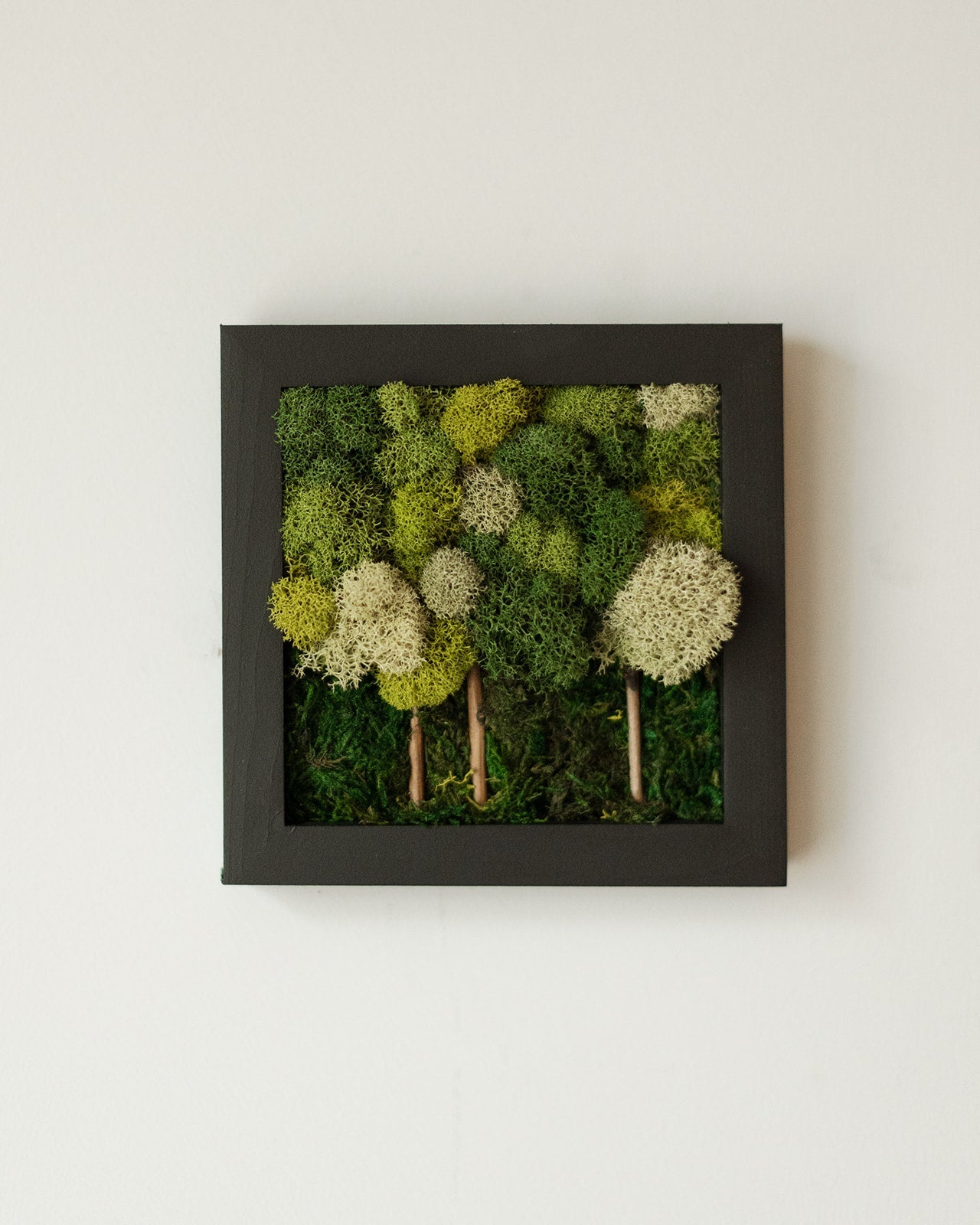 Multi-green Forest, Square