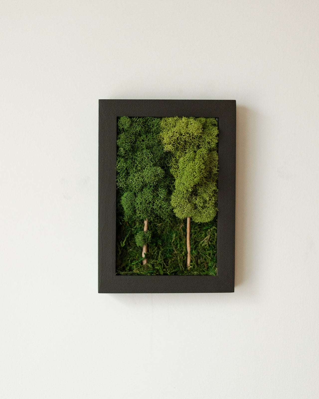 2 Tree Forest, Rectangle