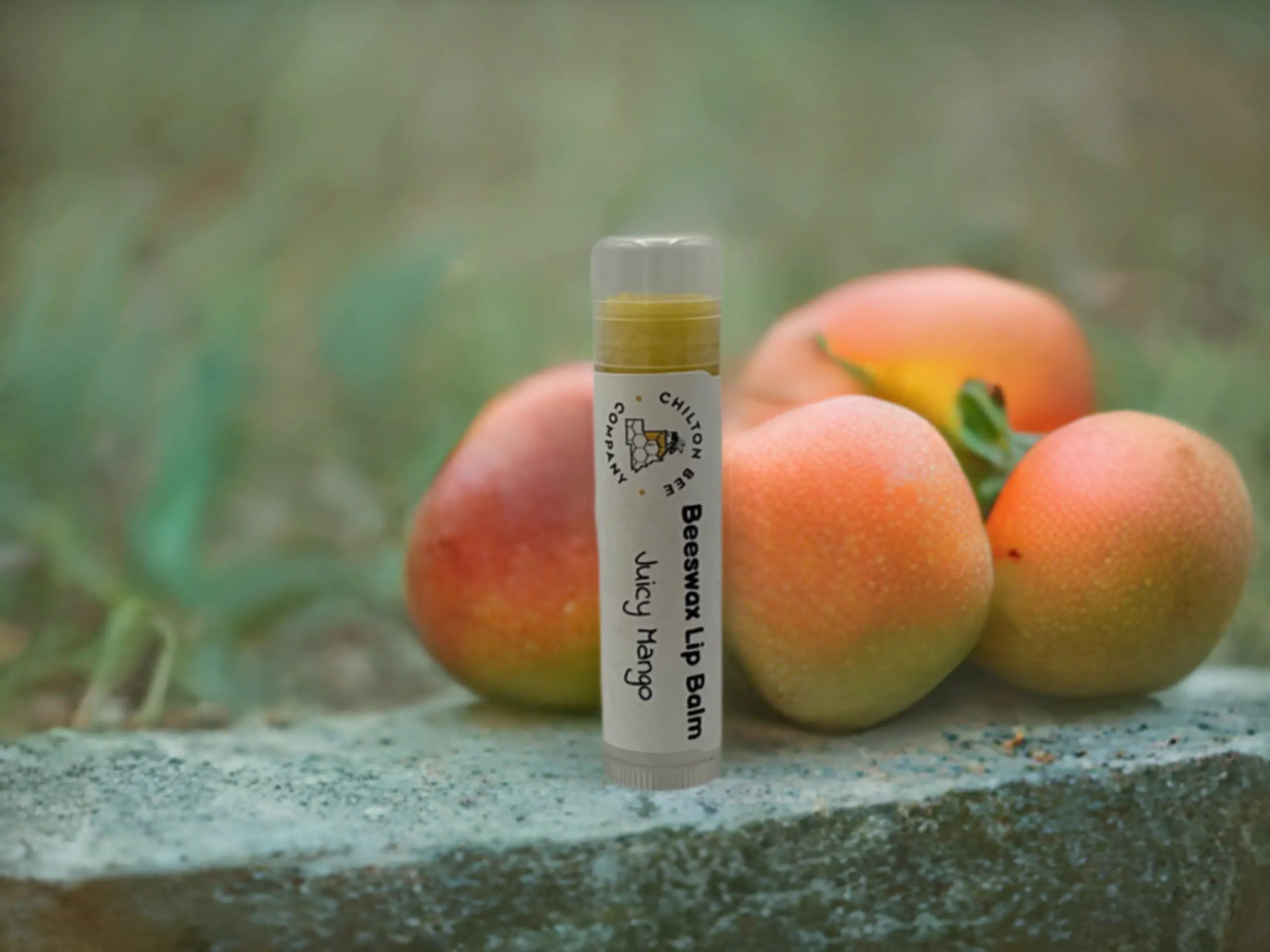 Lip Balm Tubes Chilton Bee Company