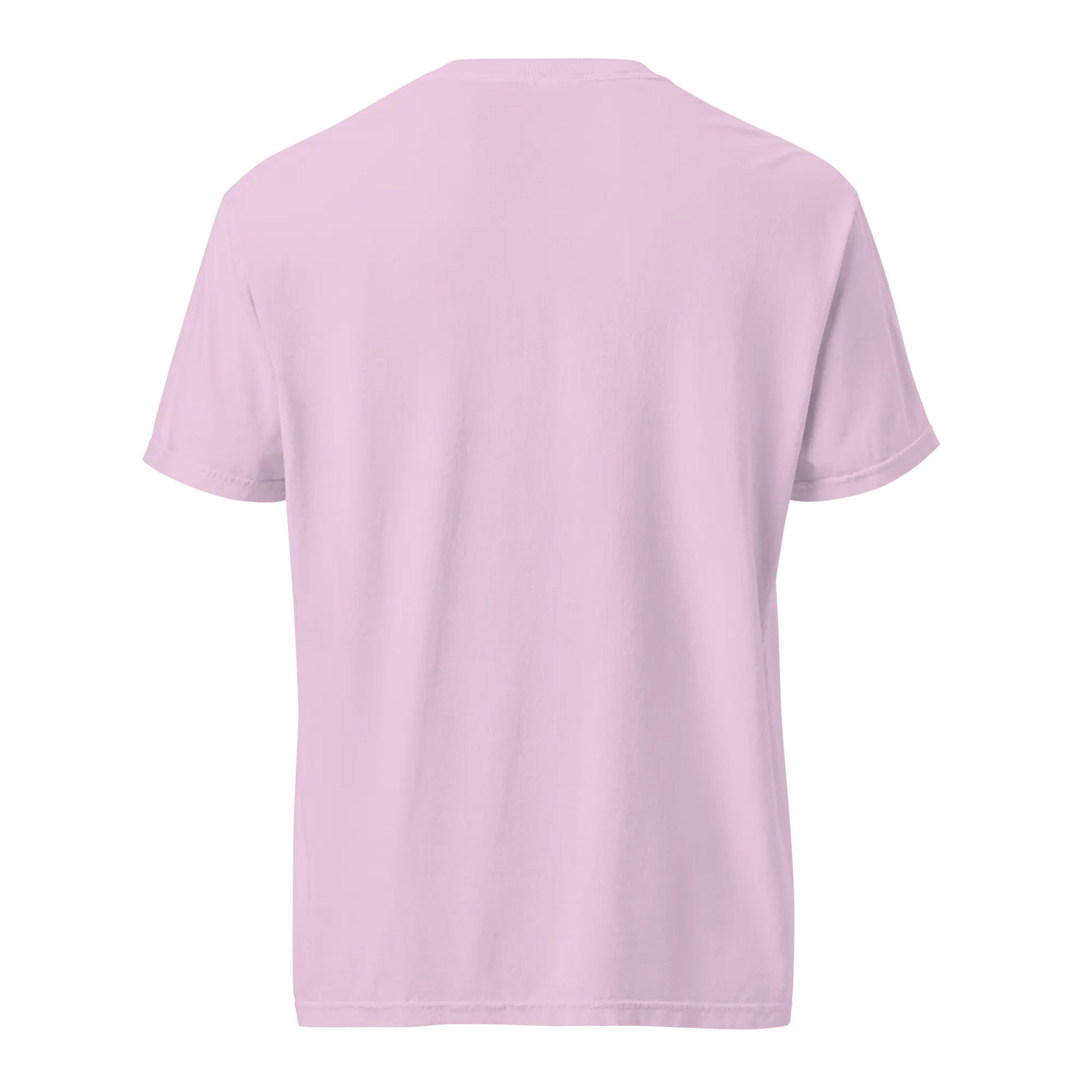 Louisiana T-shirt Back View | Comfort Colors Tee | Main Street Collective | Leslie Gonce Design