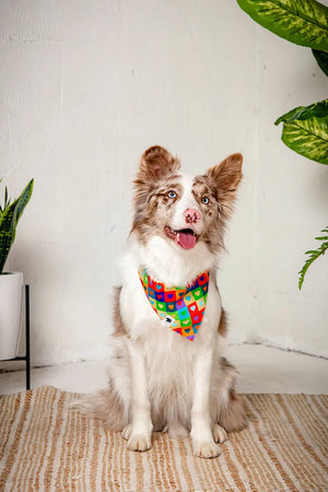 Love Wins Dog Bandana Dog Bandana Co.
