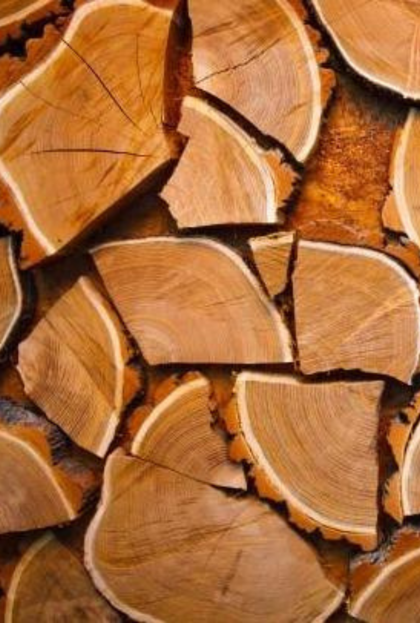 Palo Santo | Sacred Wood Scent