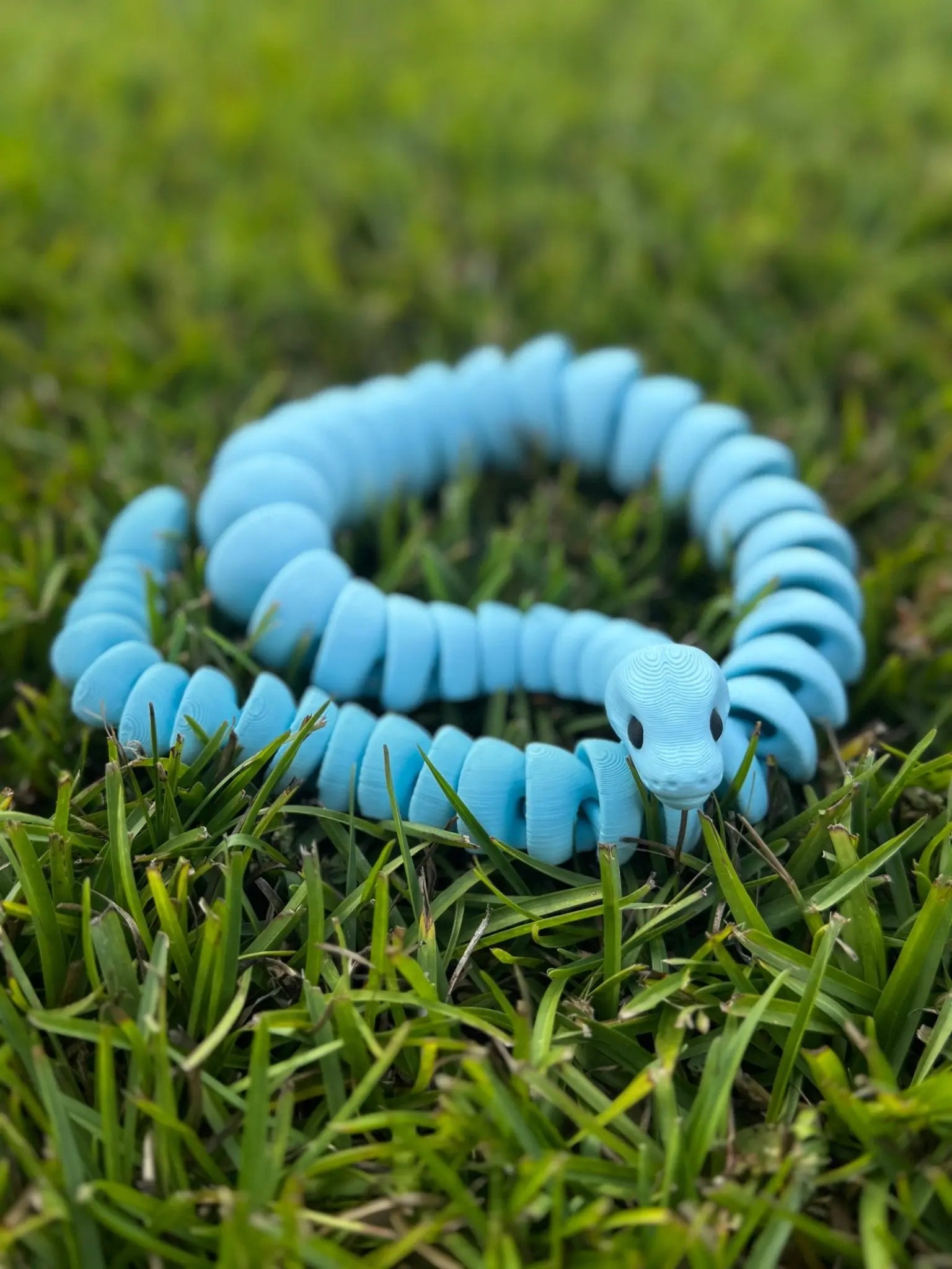 Matte Snake Fidget Toy Mushroom Lady Co
