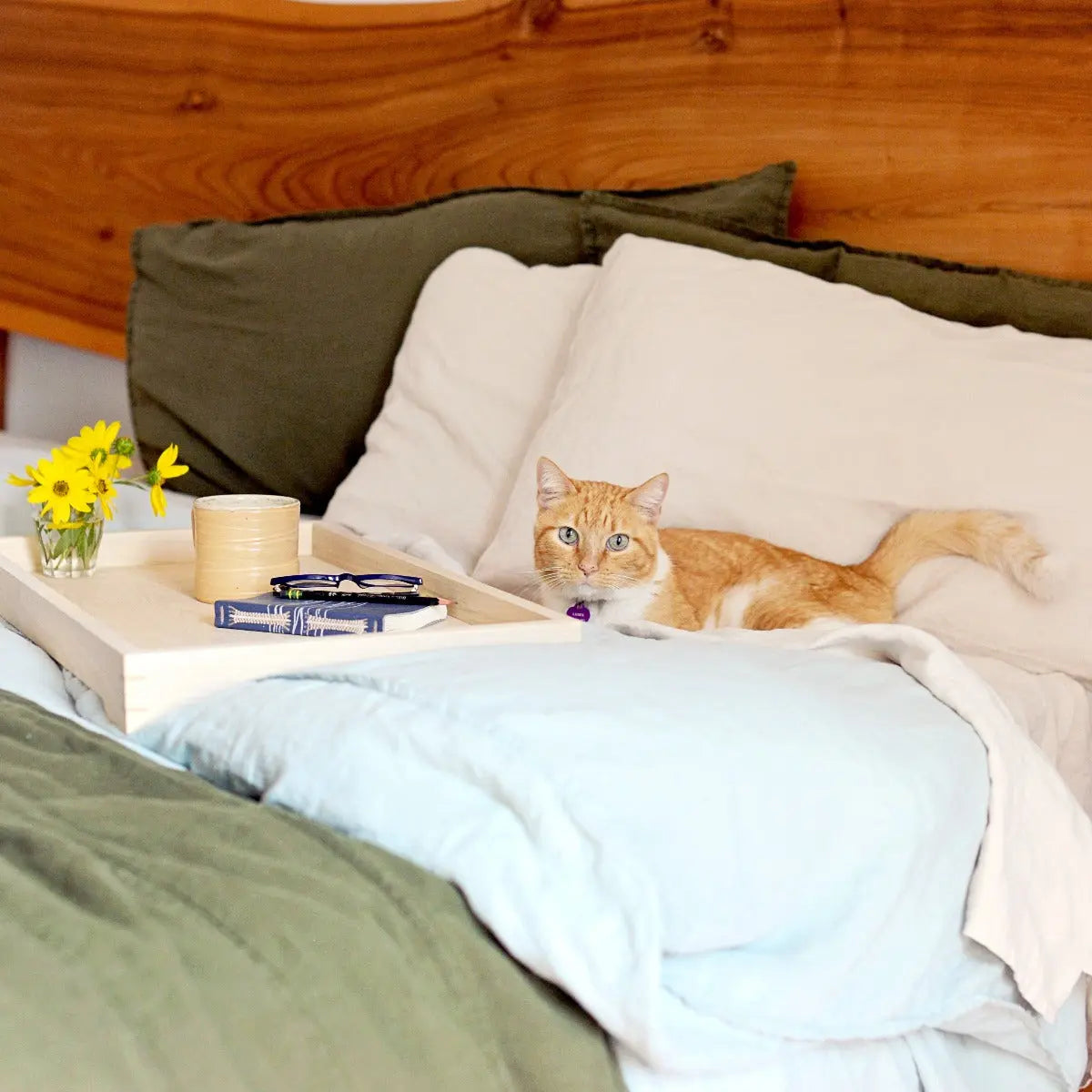 Wooden tray on bed with yellow flowers, mug, glasses, notebook, and an orange cat lying nearby.
