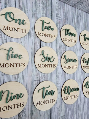 Monthly Wooden Milestone Photo Prop EverLee Creations