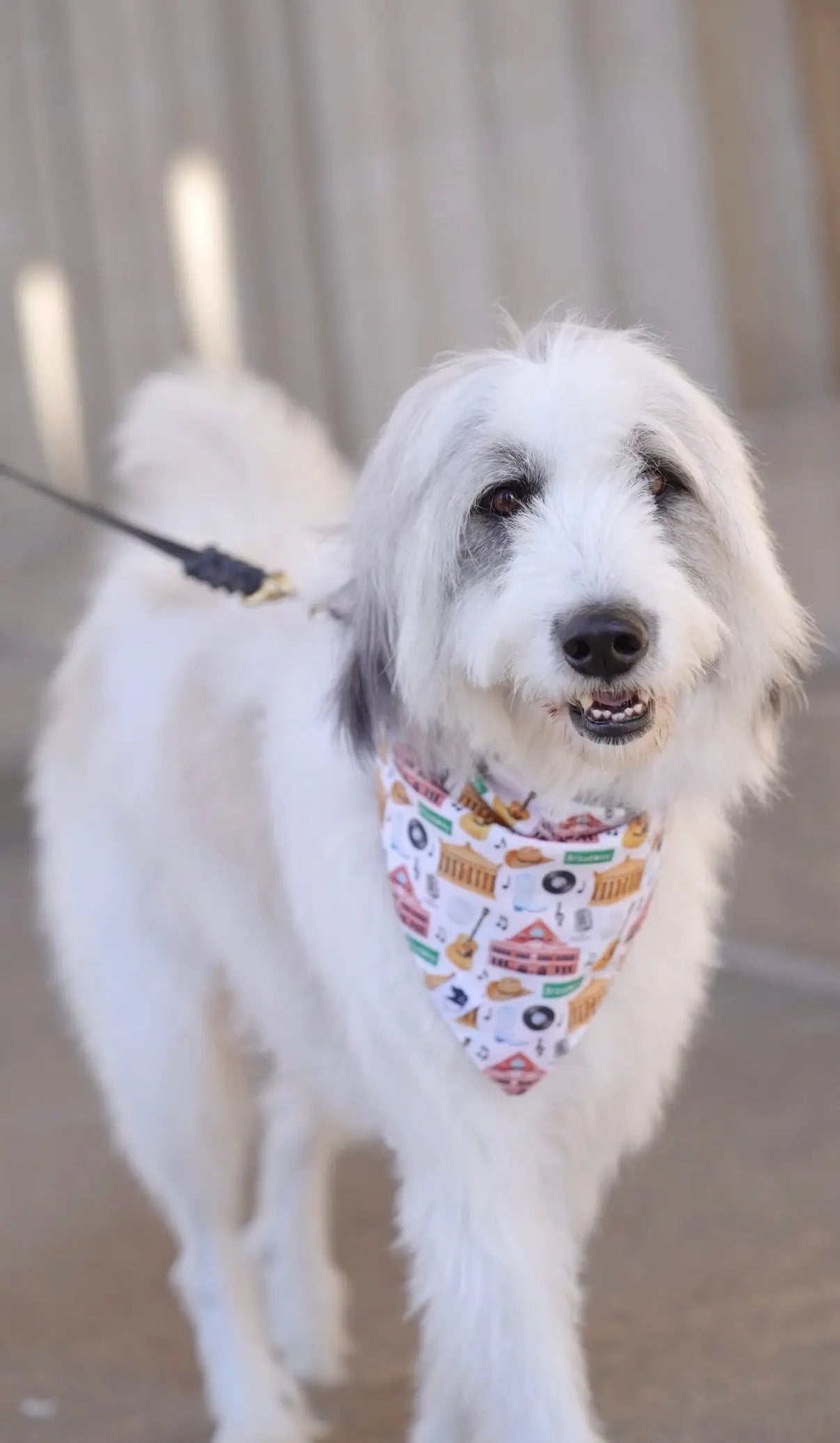 Nashville Tennessee Dog Bandana Dog Bandana Co.