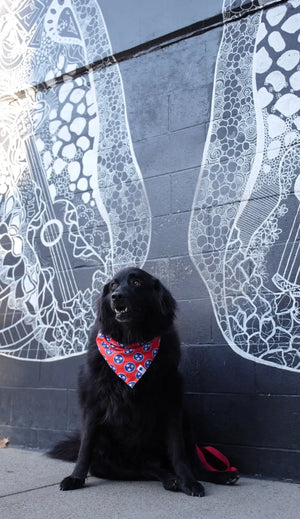 Nashville Tennessee Dog Bandana Dog Bandana Co.