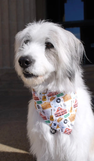 Nashville Tennessee Dog Bandana Dog Bandana Co.