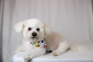 Nashville Tennessee Dog Bandana Dog Bandana Co.