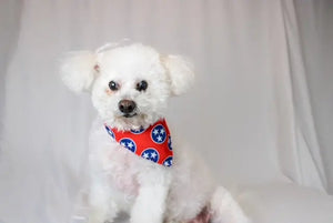 Nashville Tennessee Dog Bandana Dog Bandana Co.