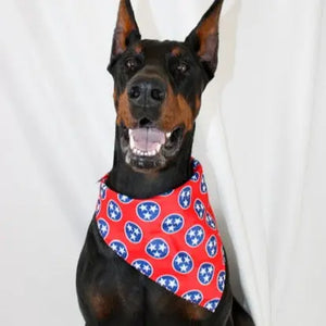 Nashville Tennessee Dog Bandana Dog Bandana Co.