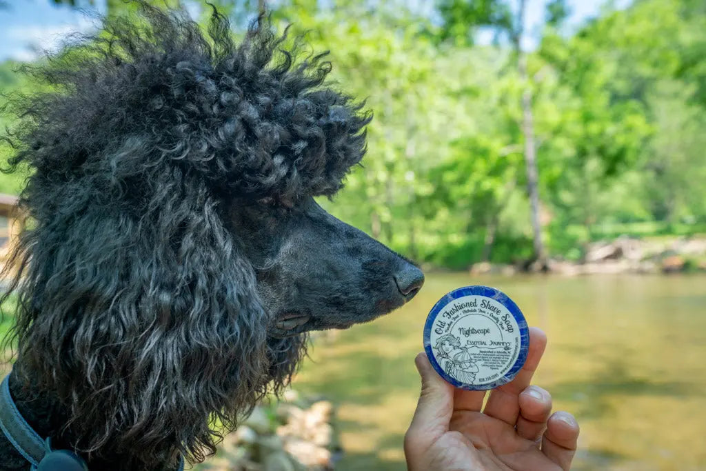 Black poodle next to a round tin of Essential Journeys Nightscape shave soap near a river.