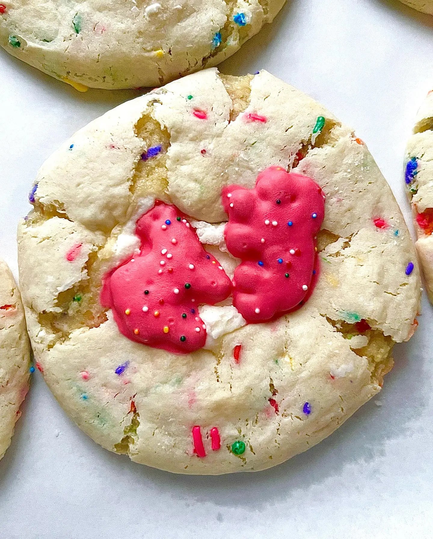Party Animal Let's Get Baked Artisan Desserts